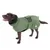 Chien marron portant un manteau vert avec col noir, fermeture à scratch et bandes noires visibles sur le dos. Badge rond blanc sur le côté du manteau.