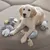 Four grey plush toys for dogs, including an elephant, a rabbit, a bird and a rope toy with knots.