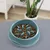 Round blue anti-gulping bowl with raised obstacles, filled with brown dry food pieces. Bowl placed on a grey surface.