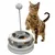 Spielzeug für Katzen mit interaktiver Basis, Bällen und einer Feder mit Plüschball. Katze spielt mit dem Produkt.