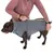 Personne mettant un manteau gris à fermeture éclair sur un grand chien marron, vue de côté. Le manteau couvre le dos et le cou du chien.