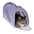 Chat adulte tigré à pattes blanches dans une caisse de transport violette avec panneaux en maille et poignée sur le dessus, porte avant ouverte.