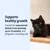 Favorisce una crescita sana. Adatto a gattini non sterilizzati dal momento dello svezzamento fino a 12 mesi, nonché a gatte in gravidanza o in allattamento. Favorisce una crescita sana. Adatto a gattini non sterilizzati dal momento dello svezzamento fino a 12 mesi, nonché a gatte in gravidanza o in allattamento.