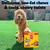 Dog with Pedigree Mega Box, Rodeo Duos and Jumbone. Text: Delicious, low-fat chews & tasty, chewy twists.