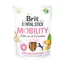 Brit Dental Stick Mobility curcuma, collagène pour chien - 3 x 251 g (21 friandises)