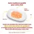 Assiette avec saumon, gelée végétale et riz. Texte : Notre meilleure qualité pour votre chat. Recettes HFC formulées avec viande et/ou poisson propres à la consommation humaine.