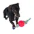 Cane con gioco colorato in corda e palla rossa. Prodotto per l’intrattenimento degli pet.
