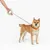 Cane al guinzaglio con manico ergonomico, adatto per passeggiate. Visibili: portaguinzaglio e collare.