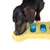 Chien noir utilisant un jeu d’intelligence jaune et bleu avec compartiments ronds, certains couverts de pièces bleues à motif patte. Partie du corps visible : tête et pattes avant.