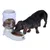 Dog eating from a grey food dispenser with a transparent container filled with dry food. Zooplus logo visible on the dispenser.