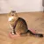 Long-haired tabby cat sitting on a rectangular cardboard scratcher with pink edges, placed on a wooden floor indoors. No visible brand or text.