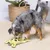 Chien à poil long gris et noir jouant avec une peluche jaune en forme de grenouille sur un tapis rond en jute, panier en osier et plante en arrière-plan.