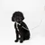 Schwarzer Hund mit einem Halsband und passender Leine in hellem Muster. Produkt zeigt Design und Anwendung des Zubehörs.