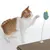 Spielzeug mit Federmechanismus und grünem Stofftier, das von einer Katze auf einer Kratzmatte angestupst wird.