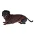 Teckel portant un pull en tricot marron à torsades et col roulé. Le produit montre la coupe et le design du pull pour chien.