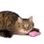 zooplus Basics Katzenspielzeug-Set Kitty mit Katzenminze