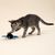 TIAKI kattenspeeltje vibrerende knuppel