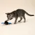 TIAKI kattenspeeltje vibrerende knuppel