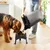 Person füllt Trockenfutter aus einem Behälter in einen erhöhten Futternapf, während ein Hund frisst.