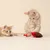 Two young cats playing with a red cat toy shaped like a mouse.