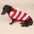 TIAKI Roter Streifen-Pullover für Hunde