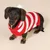 TIAKI Roter Streifen-Pullover für Hunde