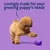 Text reads: Lovingly made for your growing puppy’s needs. Image shows a puppy interacting with a purple textured toy on a plain background.