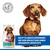 Hill's Science Plan Perfect Weight Adult 1+ Small & Mini mit Huhn