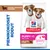 Hill's Science Plan Puppy <1 Small & Mini lampaanlihaa ja riisiä, 5 olennaista hyötyä, sisältää lammasta ja riisiä. Pienille koiraroduille. Hill's Science Plan Puppy <1 Small & Mini lampaanlihaa ja riisiä, 5 olennaista hyötyä, sisältää lammasta ja riisiä. Pienille koiraroduille.