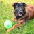 Virbac Veterinary HPM Adult Dog Sensitive Digest Large & Medium Virbac Veterinary HPM Adult Dog Sensitive Digest Large & Medium