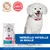 Hill's Science Plan Adult Hypoallergenic Small & Mini lohi Hill's Science Plan Adult Hypoallergenic Small & Mini lohi