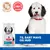Hill's Science Plan Hypoallergenic Adult Large med laks