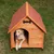 Niche pour chien en bois avec toit rouge, un grand chien beige est allongé à l’intérieur. Motif os noir visible sur la façade.