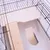 Gabbia per piccoli animali Skyline Sky 120