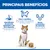 Principais vantagens: ingredientes de alta qualidade e de fácil digestão, com L-carnitina, níveis controlados de minerais. Imagem de um gato e mousse de comida húmida. Principais vantagens: ingredientes de alta qualidade e de fácil digestão, com L-carnitina, níveis controlados de minerais. Imagem de um gato e mousse de comida húmida.