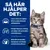 Hill's Prescription Diet i/d Digestive Care Kitten Chicken i sås