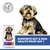 Hill's Science Plan Sensitive Stomach & Skin Adult 1+ Small & Mini Chicken