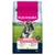 Eukanuba Premium Nutrition Senior Small Breed Pui