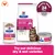 Hill's Prescription Diet Gastrointestinal Biome for Cats, digestive/fibre care. Healthy stool in as little as 24 hours. Clinically proven. Dry and wet food shown.