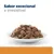 Hill's Prescription Diet k/d Kidney Care com frango Hill's Prescription Diet k/d Kidney Care com frango