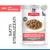 Hill's Science Plan Premium Bocconcini in Salsa con Salmone, gatto sterilizzato adulto 1-6, Bocconcini in Salsa, Gatti Sterilizzati, Cibo Premium per Gatti. Hill's Science Plan Premium Bocconcini in Salsa con Salmone, gatto sterilizzato adulto 1-6, Bocconcini in Salsa, Gatti Sterilizzati, Cibo Premium per Gatti.