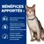 Hill's Prescription Diet k/d Kidney Care au saumon