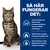 Infografik med katt och tre punkter: stödjer naturlig energiförbränning, främjar fettförbränning, speciell fiberblandning för mättnad. Infografik med katt och tre punkter: stödjer naturlig energiförbränning, främjar fettförbränning, speciell fiberblandning för mättnad.