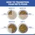 Food transition: Days 1-2 with 25% new food, days 3-4 with 50%, days 5-6 with 75%, day 7 with 100% new food. Food transition: Days 1-2 with 25% new food, days 3-4 with 50%, days 5-6 with 75%, day 7 with 100% new food.