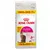 Royal Canin Fussy Exigent, 12 kg, 10 kg + 2 kg offerts. Illustration d’un chat et de croquettes sur l’emballage. Royal Canin Fussy Exigent, 12 kg, 10 kg + 2 kg offerts. Illustration d’un chat et de croquettes sur l’emballage.
