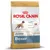 Royal Canin Junior Boxer hondenvoer, geschikt tot 15 maanden. Tekst: spierontwikkeling, spijsvertering, natuurlijke afweer. Afbeelding van een boxerhond en brokjes.