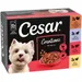 Cesar Pouches Creations in Jelly - 48 x 100g