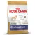 Royal Canin Chihuahua Junior hondenvoer, tot 8 maanden. Tekst: High palatability, Stool & odour reduction, Natural defences. Afbeelding van een chihuahua en brokvorm.