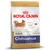 Royal Canin Adult Chihuahua hondenvoer, afbeelding van een langharige chihuahua, tekst: high palatability, stool & odour reduction, dental health, exclusieve brok. Voor honden ouder dan 8 maanden.