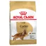 Royal Canin Cocker Adult - 2 x 12 кг